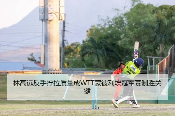 林高远反手拧拉质量成WTT蒙彼利埃冠军赛制胜关键